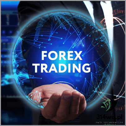 Co To Jest Forex Trading? Znajdź Odpowiedź!