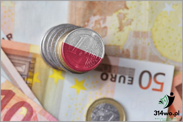 Czy Warto Trzymać Oszczędności W Euro? Sprawdź!