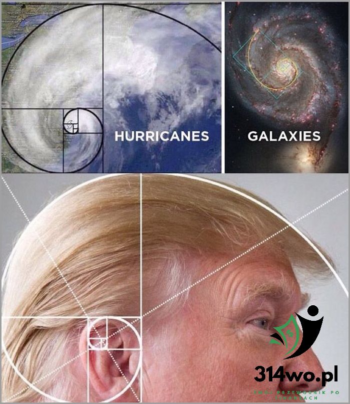 Tajemniczy Świat Spirali Fibonacciego W Przyrodzie!